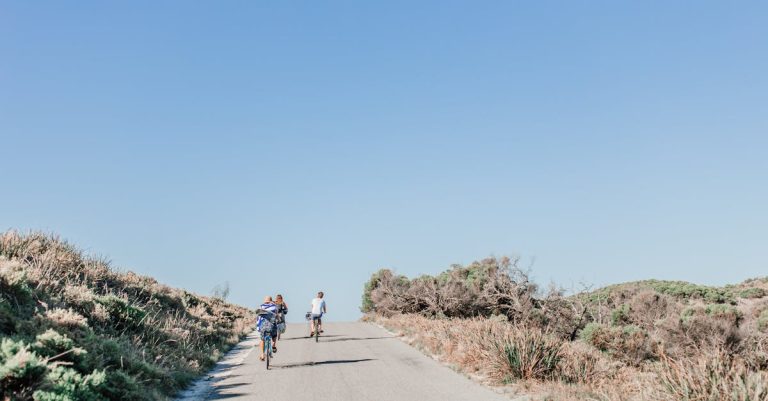 descubre la emoción de andar en bicicleta, una actividad que combina ejercicio, aventura y exploración. ya sea en la ciudad o en la naturaleza, el ciclismo ofrece innumerables beneficios para la salud y la sostenibilidad. únete a la revolución de las bicicletas y pedalea hacia un estilo de vida más saludable y ecológico.