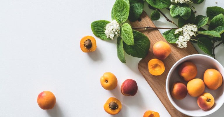 découvrez l'importance de la nutrition pour une vie saine. apprenez des conseils pratiques sur l'alimentation équilibrée, les nutriments essentiels et des recettes délicieuses. améliorez votre bien-être grâce à une meilleure compréhension de la nutrition.