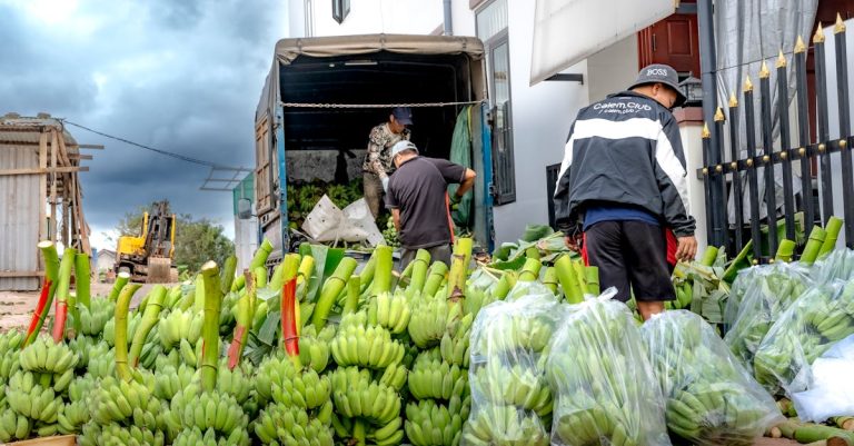 descubre todo sobre la nutrición para ciclistas: consejos, recetas y estrategias para maximizar tu rendimiento y disfrutar al máximo de cada ruta.