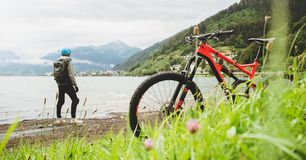 descubre el mundo del ciclismo: consejos, rutas especiales, entrenamientos y todo lo que necesitas saber para disfrutar al máximo de tu pasión sobre dos ruedas.