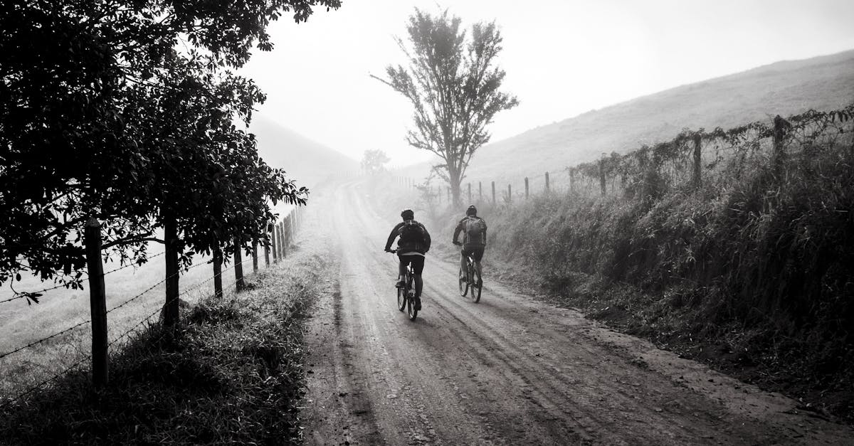 descubre el emocionante mundo del ciclismo, donde la aventura sobre dos ruedas te lleva a explorar paisajes impresionantes, mejorar tu condición física y vivir momentos inolvidables. ¡únete a la pasión por el ciclismo!