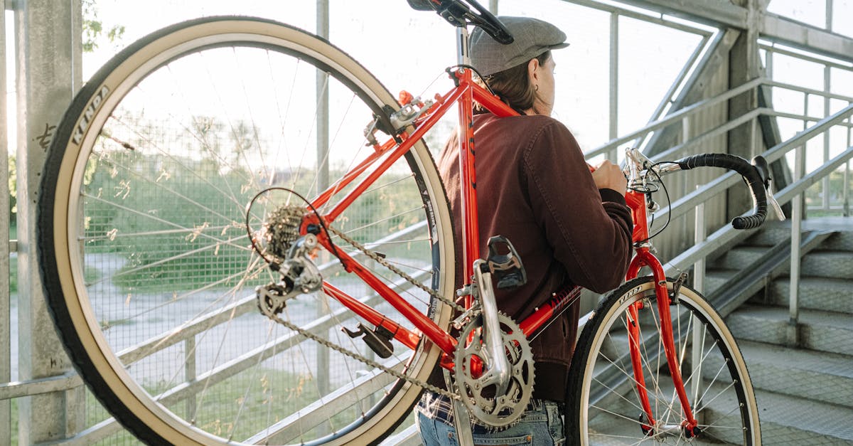 descubre la mejor selección de accesorios para ciclismo que mejorarán tu experiencia sobre dos ruedas. desde luces y cascos hasta herramientas esenciales, encuentra todo lo que necesitas para tu próxima aventura en bicicleta.