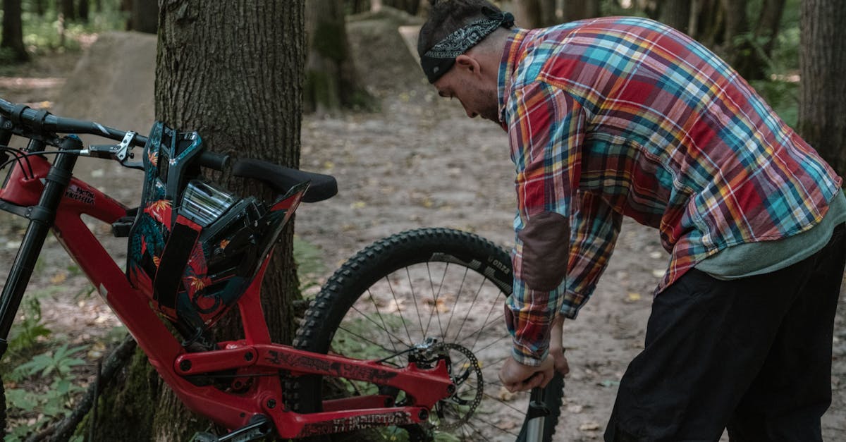 descubre una amplia gama de equipo de ciclismo de alta calidad para mejorar tu experiencia sobre la bicicleta. encuentra todo lo que necesitas, desde bicicletas hasta accesorios, para disfrutar de tus rutas con comodidad y estilo.