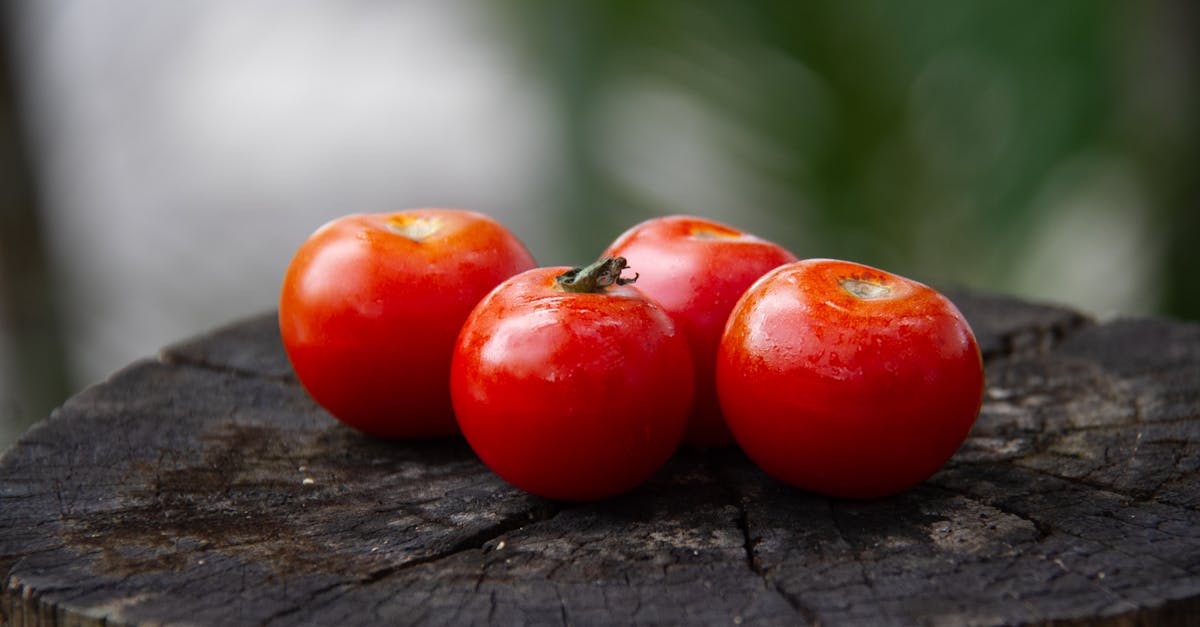 descubre la nutrición ideal para ciclistas y mejora tu rendimiento en cada paseo. conoce los mejores alimentos, suplementos y consejos para mantenerte en forma y saludable mientras disfrutas del ciclismo.