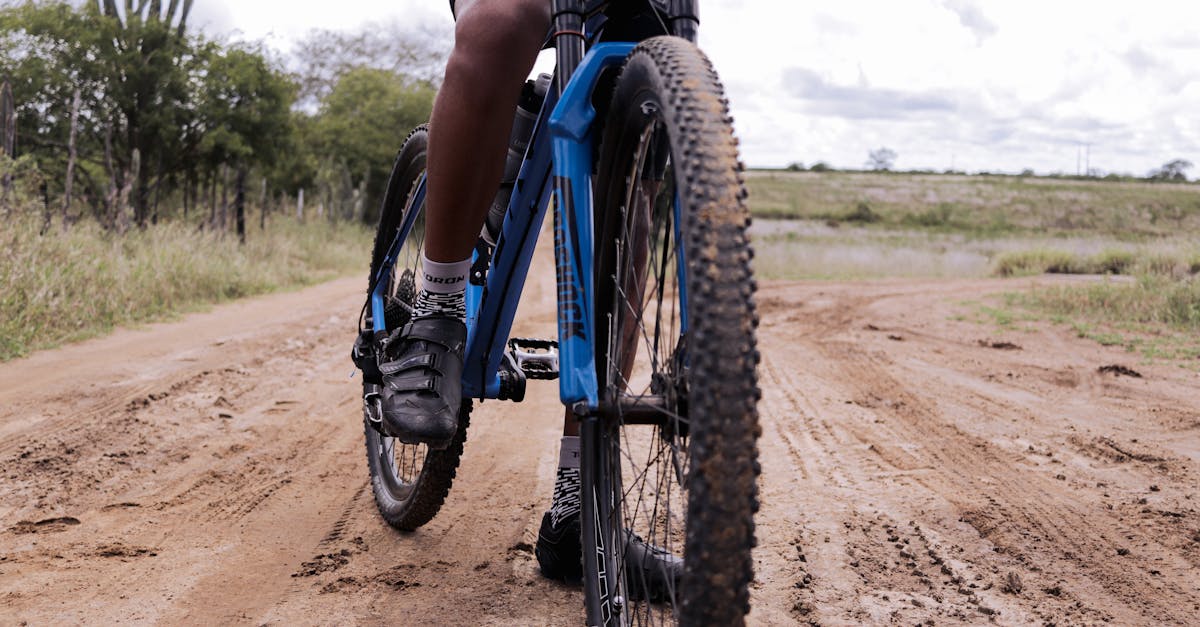 zapatillas de ciclismo de alta calidad diseñadas para maximizar tu rendimiento en la bicicleta. descubre la comodidad y el estilo que necesitas para tus rutas, ya seas principiante o ciclista experimentado.