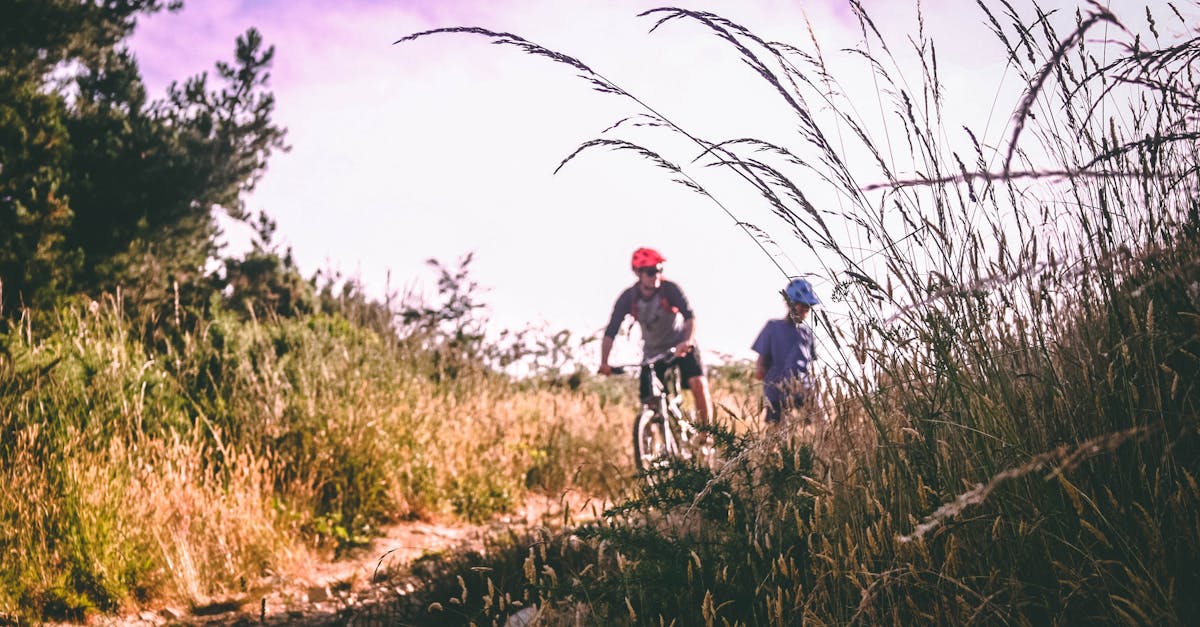 descubre la emoción del mountain biking: aventuras en la naturaleza, senderos desafiantes y adrenalina pura para los amantes del ciclismo.