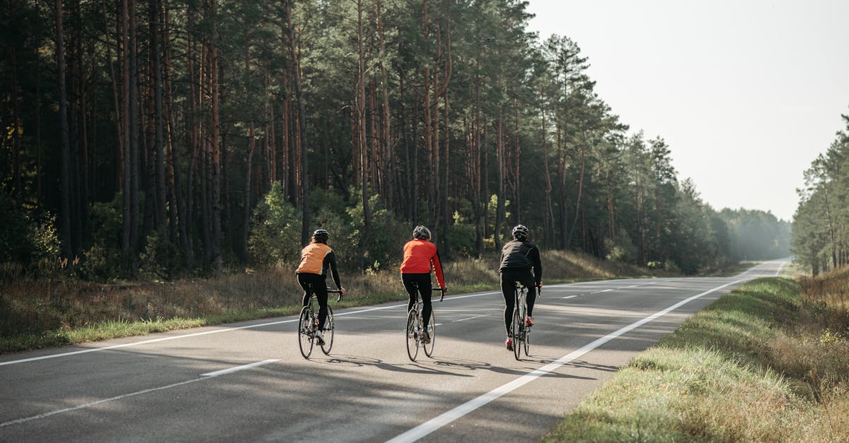 descubre los mejores consejos y programas de entrenamiento para mejorar tu rendimiento en ciclismo. optimiza tus sesiones de entrenamiento, fortalece tus habilidades y alcanza tus objetivos con nuestra guía completa para ciclistas de todos los niveles.