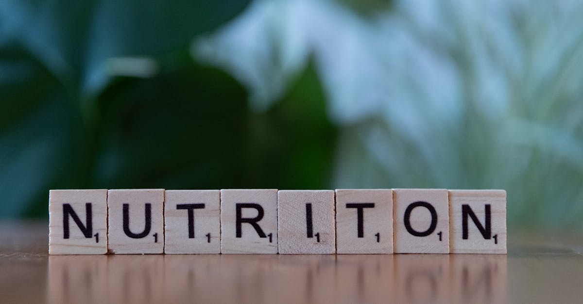 guía nutricional completa para ayudarte a llevar una alimentación equilibrada y saludable. descubre consejos, recetas y información clave para mejorar tu bienestar a través de una nutrición adecuada.